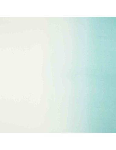 Tissu Saraille 14 coloris - Designers Guild