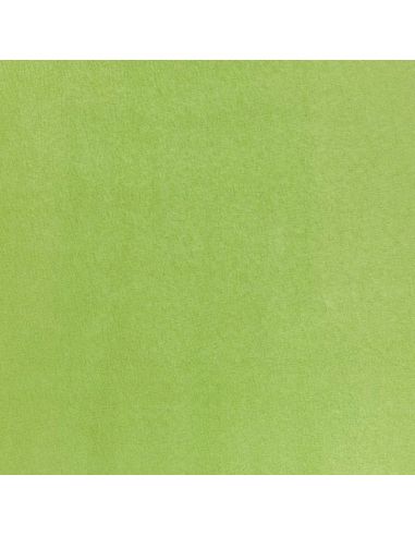 Tissu faux-daim Mezzola - Designers Guild